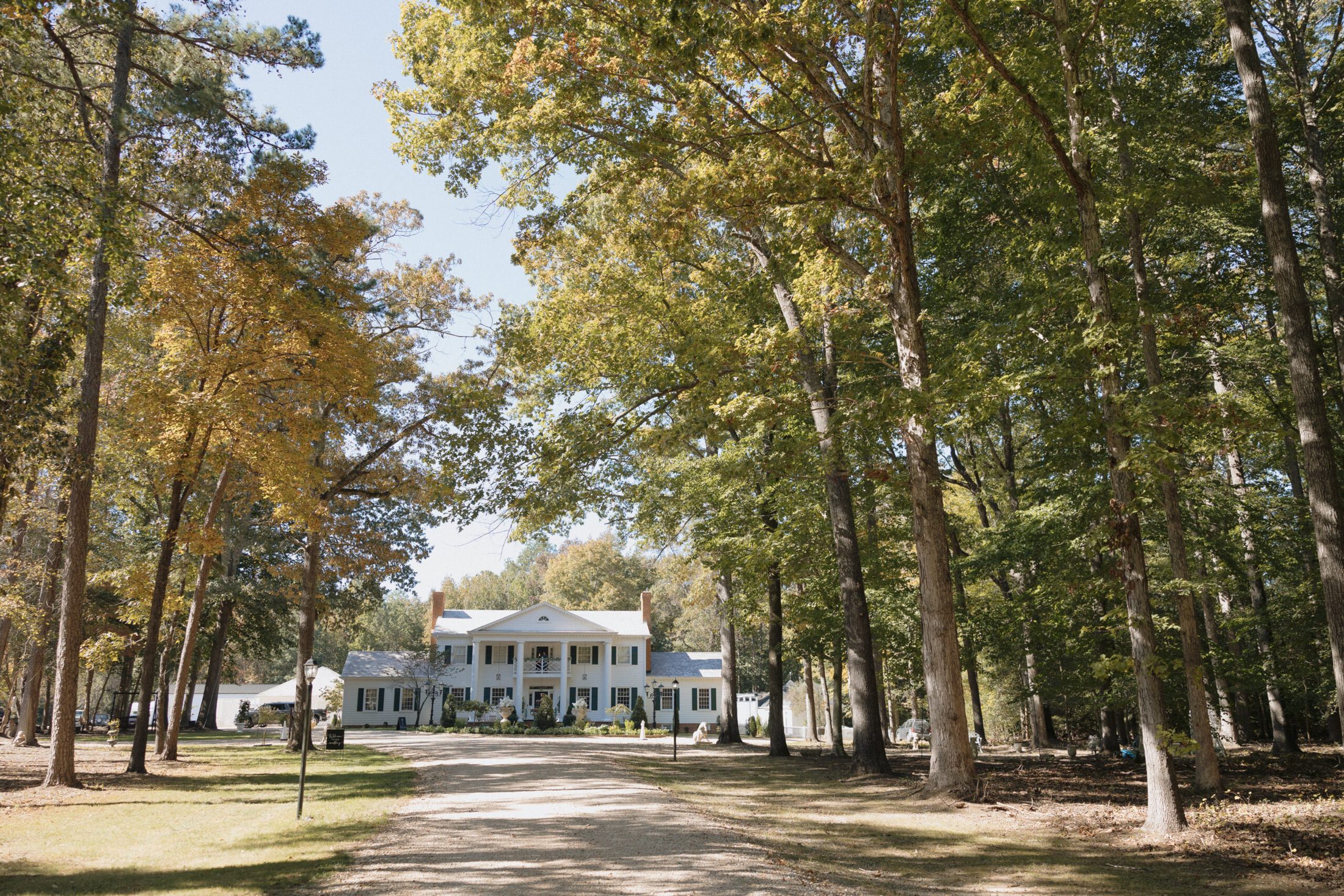 The Magnolia Mansion seen through the pines